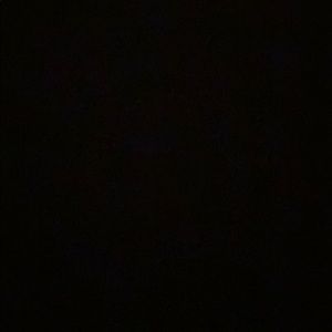 Meet your Posher, Donovan